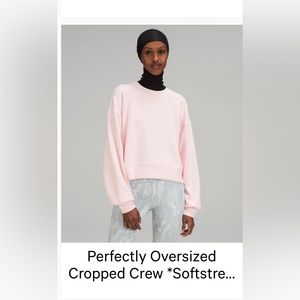 RARE COLOR in Perfectly Oversized Softstreme Crew
